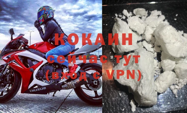 прущий лед Алзамай